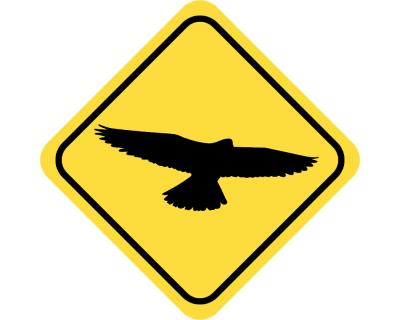 Warnschild Falke Aufkleber - Ansicht 2