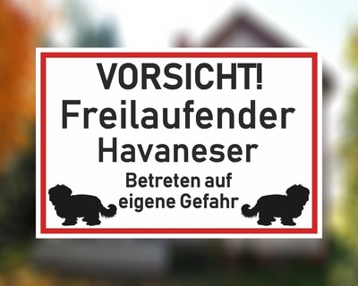 Aufkleber Vorsicht Havaneser