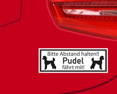 Aufkleber Pudel fhrt mit