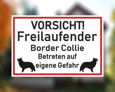 Aufkleber Vorsicht Border Collie