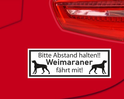 Aufkleber Weimaraner fhrt mit - Ansicht 2