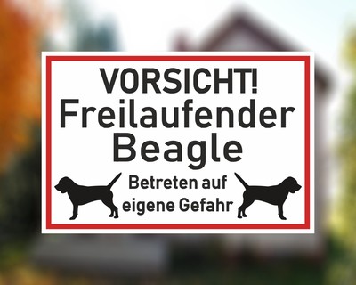 Aufkleber Vorsicht Beagle