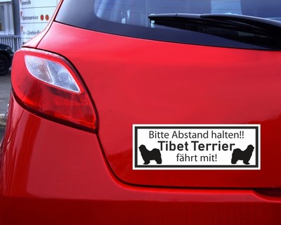 Aufkleber Tibet Terrier fhrt mit - Ansicht 2