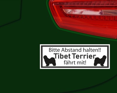 Aufkleber Tibet Terrier fhrt mit - Ansicht 3