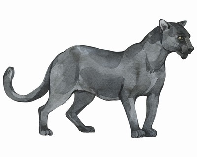 Schwarzer Panther Aufkleber